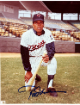 Rod Carew signed Minnesota Twins MLB Licensed 8x10 Photo minor dings- COA (HOF)