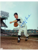 Whitey Ford signed New York Yankees MLB Licensed 8x10 Photo minor dings- COA (HOF/6X WS Champ)