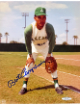 Bert Campaneris signed Kansas City A's MLB 8x10 Photo - Sports World Collectibles COA