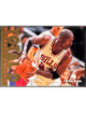 Michael Jordan 1995-96 Fleer Total D Insert Card #3 (Chicago Bulls/HOF/GOAT)