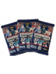 2025 Panini Rookies and Stars NFL Football 10 Card Pack- Lot of 3 - New/Factory Sealed