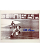 Don Larsen signed New York Yankees 1956 World Series Perfect Game MLB Licensed 8x10 Photo imperfect- COA