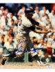 Orlando Cepeda signed Giants MLB Licensed 8x10 Photo- Sports World Collectibles COA/HOF