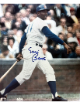 Ernie Banks signed Chicago Cubs MLB Licensed 8x10 Photo minor dings- COA (HOF)