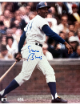 Ernie Banks signed Chicago Cubs MLB Licensed 8x10 Photo minor dings- COA (HOF)