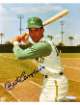 Bert Campaneris signed Kansas City A's MLB 8x10 Photo imperfect- Sports World Collectibles COA