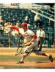 Dick Bosman signed Washington Senators MLB Licensed 8x10 Photo- COA (1974 No Hit
