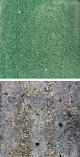Cinergy Field Riverfront Stadium Astroturf Cincinnati Reds / Bengals 10x9.5