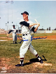 Jim Lemon signed Washington Senators MLB 8x10 Photo imperfect- COA