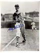 Billy Bruton signed Milwaukee Braves 8x10 Photo imperfect- COA