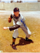 Hal Newhouser signed Detroit Tigers MLB Licensed 8x10 Photo imperfect- COA (HOF)