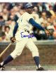 Ernie Banks signed Chicago Cubs MLB Licensed 8x10 Photo minor dings - COA/Mr Cub