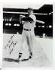 Herb Plews signed Washington Senators Vintage B&W 8x10 Photo imperfect- COA