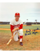Brant Alyea signed Washington Senators MLB Licensed 8x10 Photo imperfect - COA