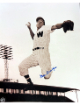 Wayne Terwilliger signed Washington Senators MLB 8x10 Photo imperfect - COA/Twig