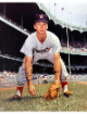 Chuck Cottier signed Washington Senators MLB Licensed 8x10 Photo imperfect- COA