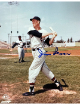 Jim Lemon signed Washington Senators MLB Licensed 8x10 Photo imperfect- COA