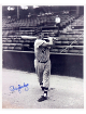 Rocky Bridges signed Washington Senators Vintage B&W 8x10 Photo imperfect- COA