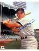 Harmon Killebrew signed Minnesota Twins MLB Licensed 8x10 Photo - COA HOF/500 HR