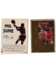 Michael Jordan 1998 Upper Deck 22KT Gold "Mr. June" Card /7233 (Chicago Bulls/GOAT/HOF)