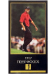 Tiger Woods 1997-98 Grand Slam Ventures Champions PGA Golf Rookie Card Masters