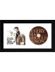 Harry Connick, Jr signed 2013 Every Man Should Know Album Cover Booklet w/ CD 6.5x12 Custom Framing JSA #AC92194