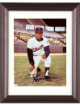 Rod Carew signed Minnesota Twins MLB Licensed 8x10 Photo minor dings Custom Framing- COA (HOF)