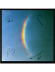 Coldplay signed 2024 Moon Music 11.75x11.75 Art Card/Album/LP/Pink Vinyl Record Framing- 4 sigs- COA- Chris Martin
