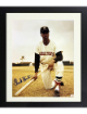 Chuck Hinton signed Washington Senators MLB Licensed 8x10 Photo Custom Framing- COA (MLBPAA)