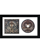 Johnny & Donnie Van Zant Signed 2024 Always Look Art Insert Auto/Booklet w/CD 6.5x12 Custom Framing- COA (Hard-Southern Rock/Sky