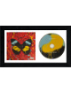 Ed Sheeran signed 2021 Overpass Graffiti Atlantic Records/UK CD Single Cover w/ CD- JSA-  6.5x12 Custom Framing